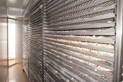 Chamber Dryer